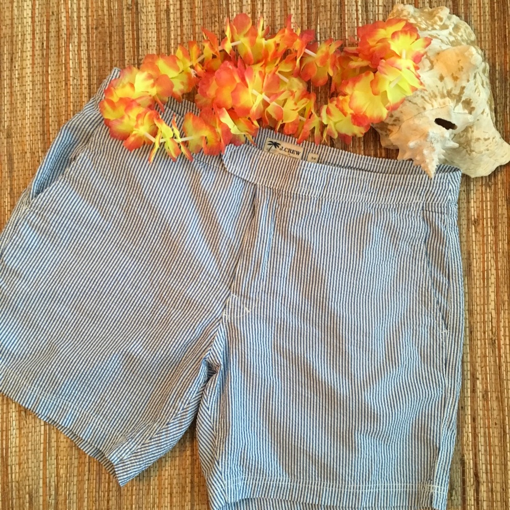 Like New J Crew Seersucker Swim Shorts W34